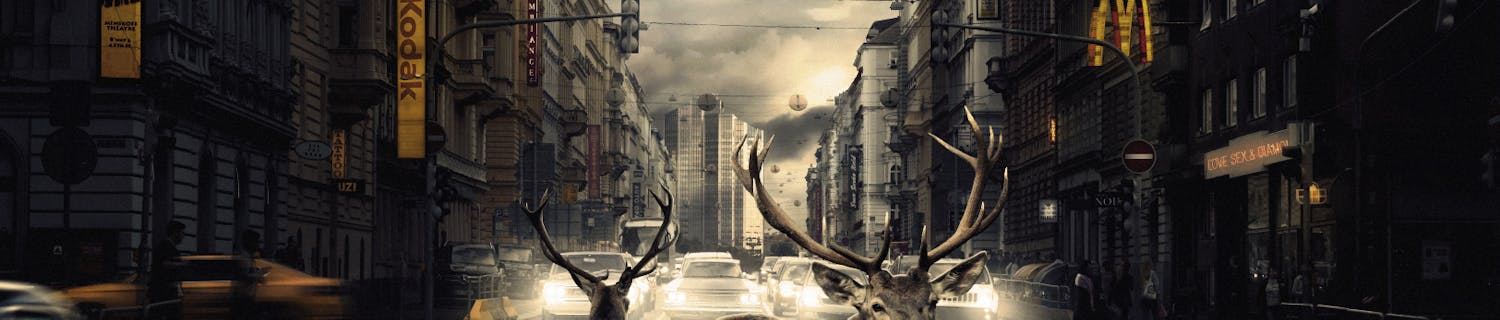 we found shelter saksanhirviä liikenteessä